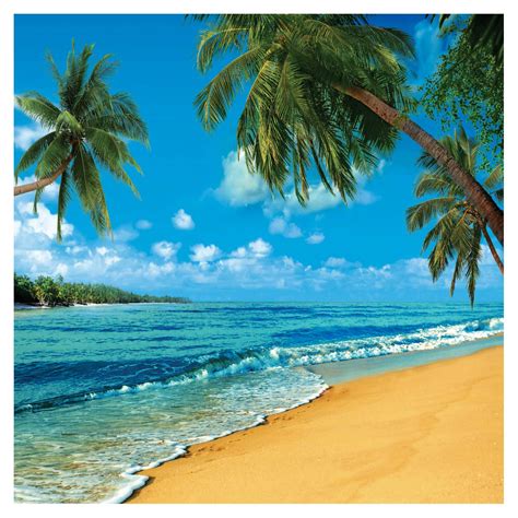 SJOLOON 10X10ft Tropical Photography Backdrop Luau Themed Party Decoration Beach Summer Holidays Photo Backgrounds Coconut Trees Blue Sky White Clouds Beautiful sea Photography Backdrops 10618