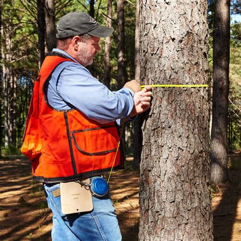 Spencer Logger's Tape Model 975DC